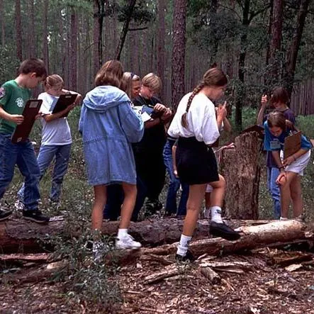 thumbnail for publication: Kids in the Woods